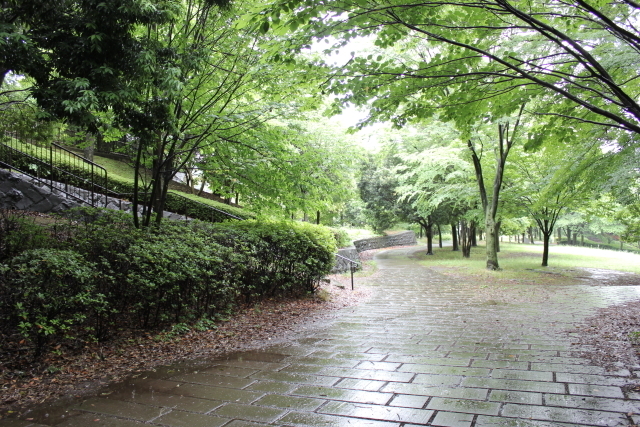 05_DPP_0175-e416e - コピー.jpg