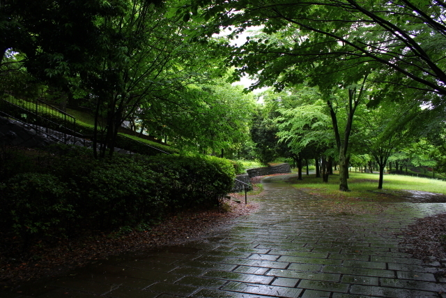 07_DPP_0177-a736e - コピー.jpg