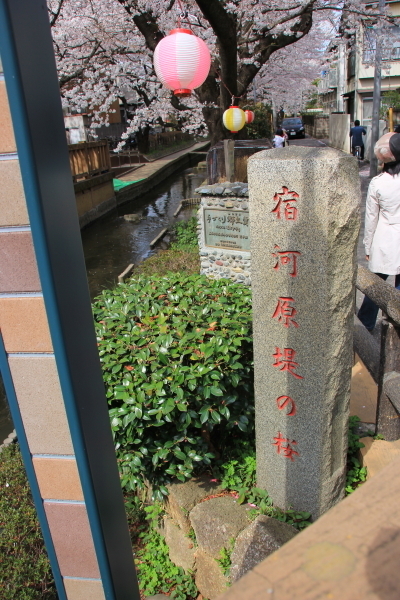 DPP_0126 - コピー.JPG