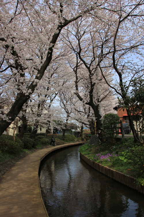 DPP_0128 - コピー.JPG