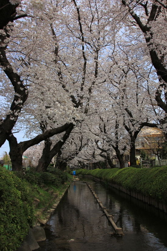 DPP_0133 - コピー.JPG
