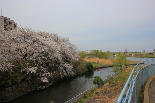 DPP_0139 - コピー.JPG