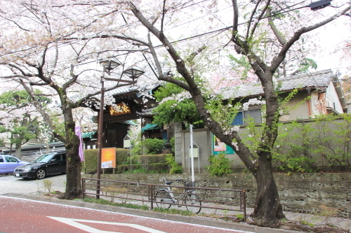 DPP_0153 - コピー.JPG
