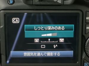 DPP_0185.JPG